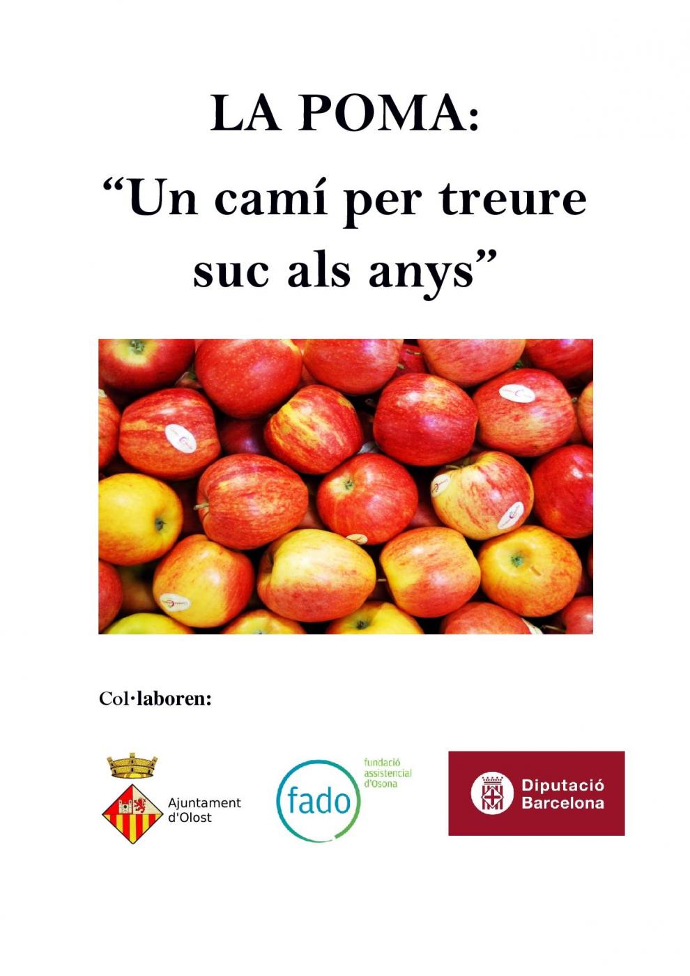Nova edició del projecte